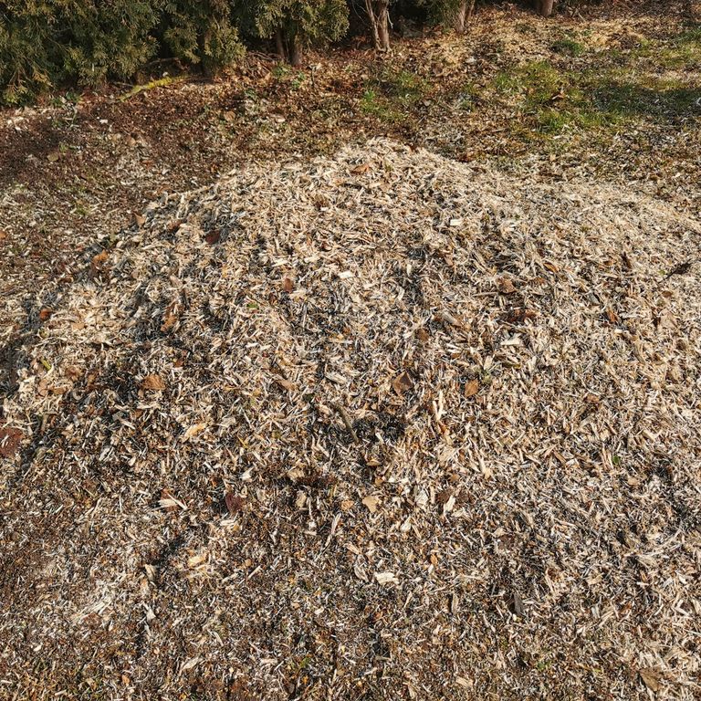 Baumstumpf entfernen